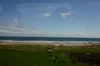 DSC_7223 (Large).JPG